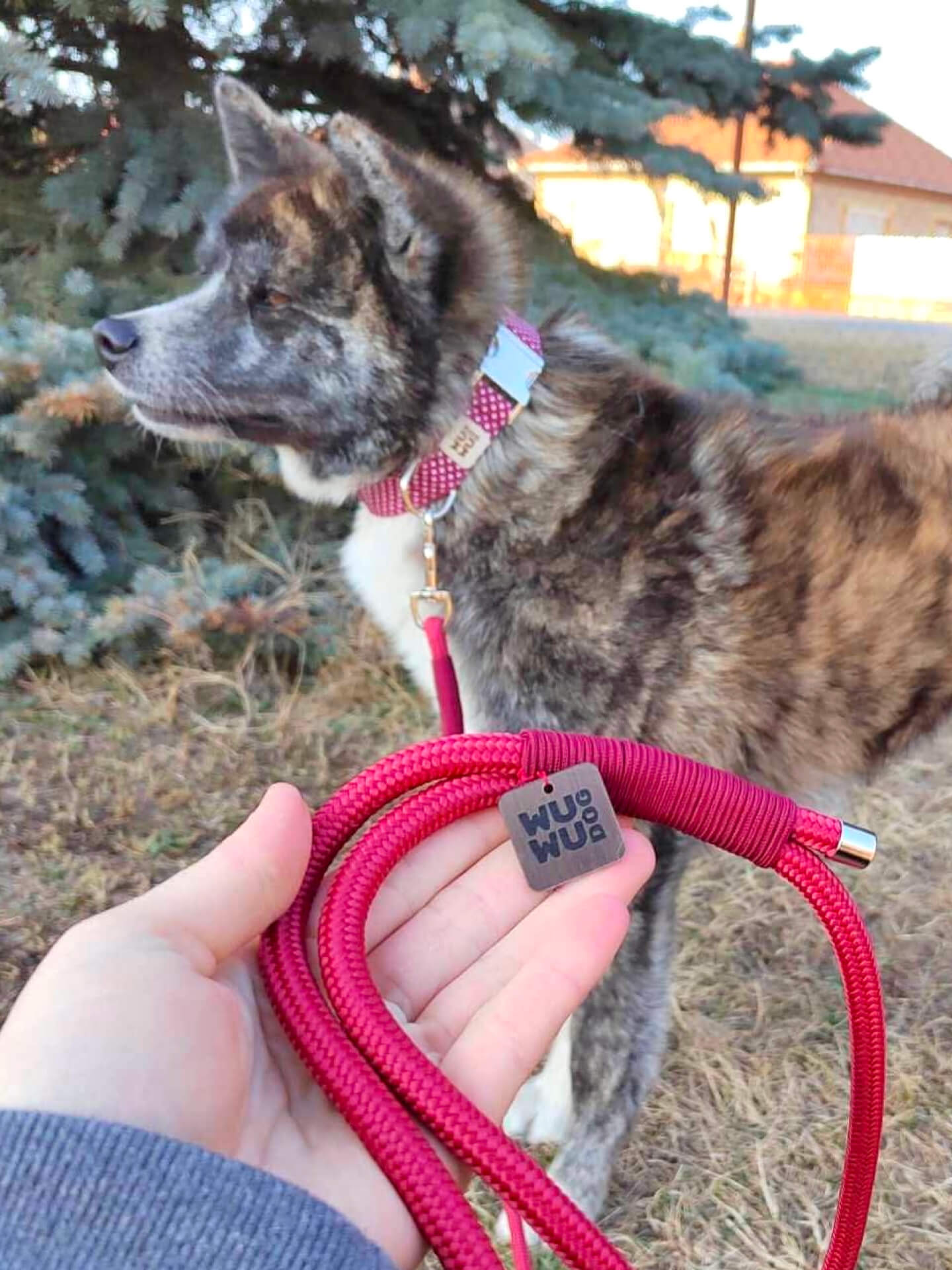 Tora és az új WUWU DOG Burgundy szettje ezüst kiegészítőkkel.
