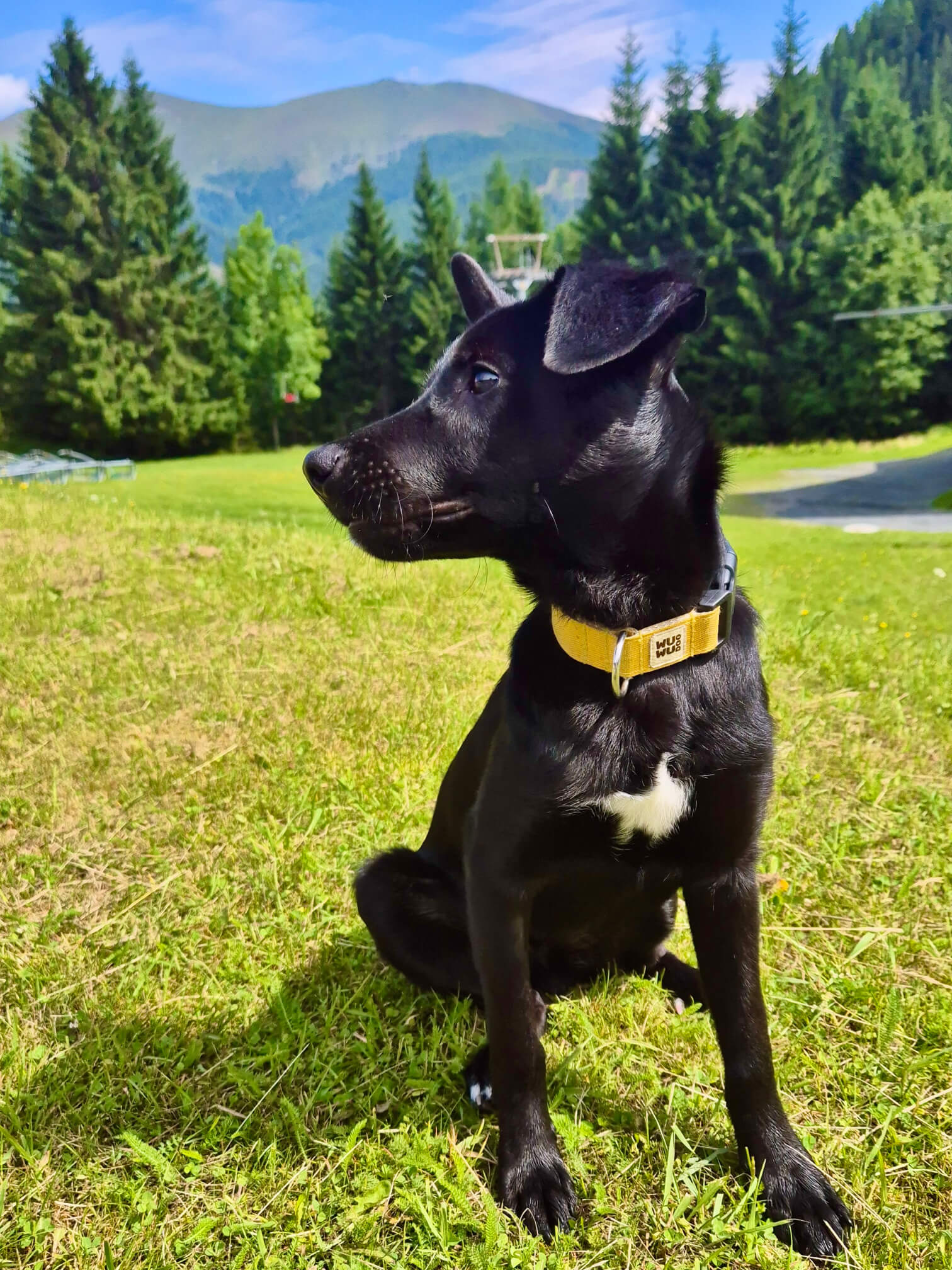 Hallo Onix aus Österreich! A fülünk is égnek áll, olyan festői rajtad ez a szett, akárcsak a táj!