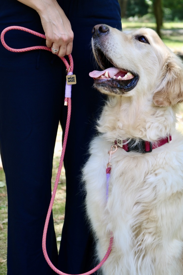 WUWU DOG Candy Kötélpóráz